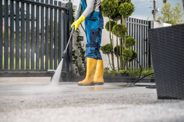 Best Local Pressure Washing Services  in Bastrop, LA